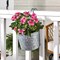 Panacea Panacea 6 in. H X 8 in. D Steel Over The Rail Planter Galvanized, PK6 83230 - alternate 2